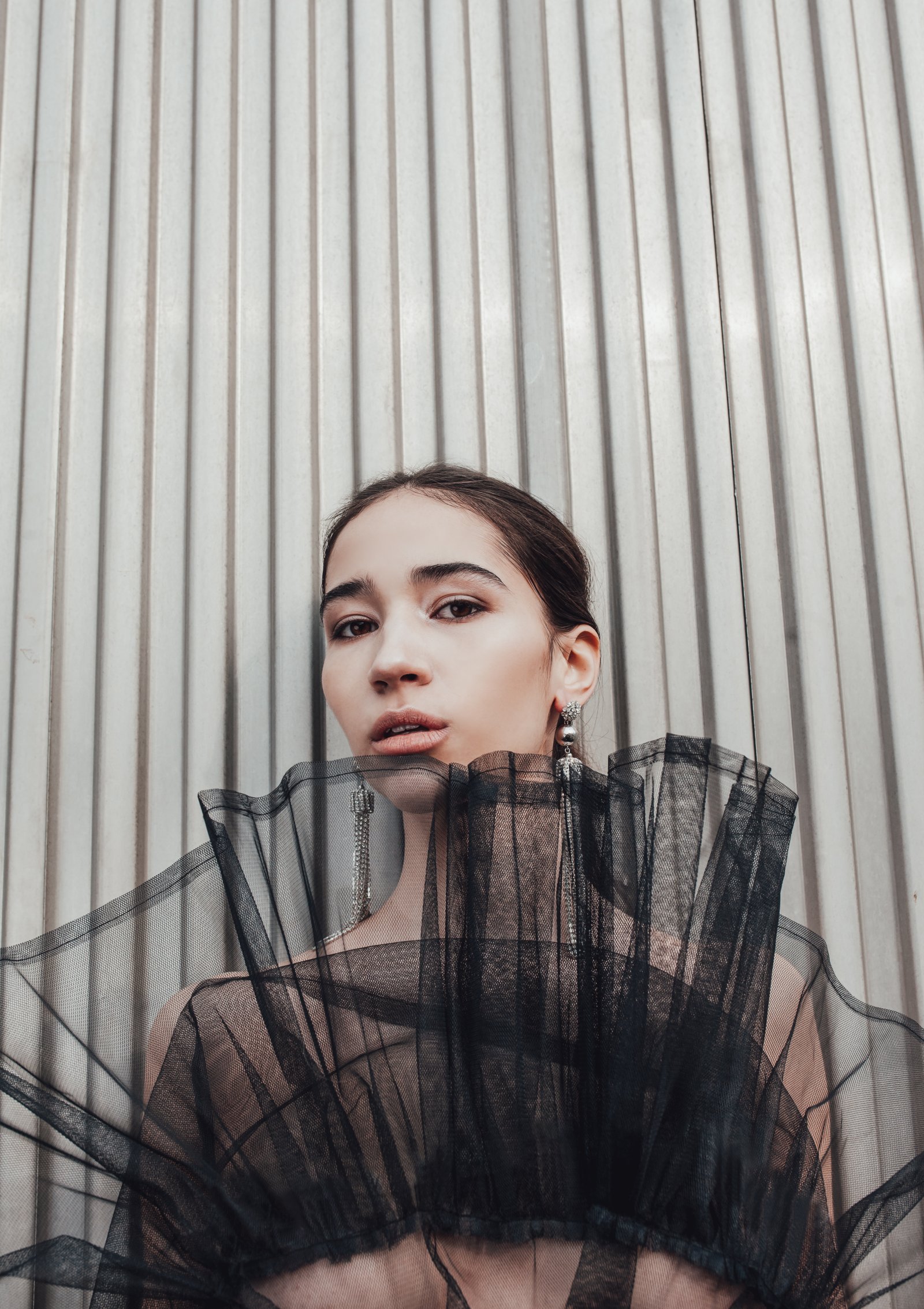 Model feed image